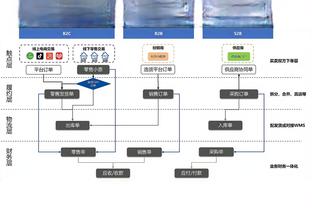 开云注册入口官网